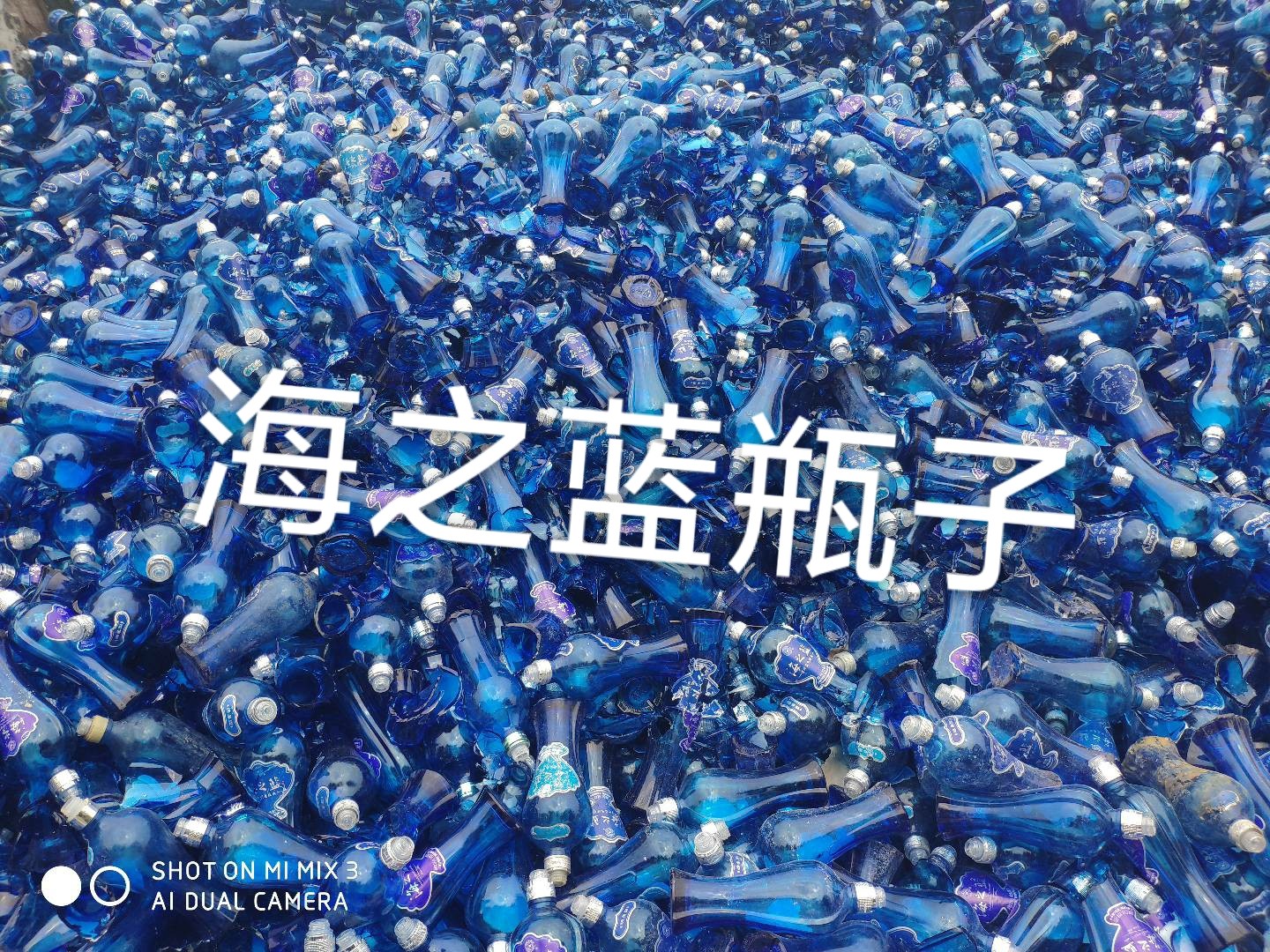 洪泽区海之蓝瓶回收